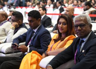 PBD 2025: Opportunity for diaspora to ‘give back to motherland’